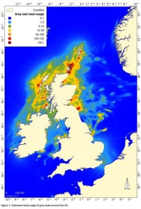 Grey Seals Usage map around the UK