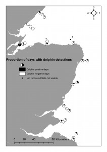 Proportion of days with Dolphin detections 2013