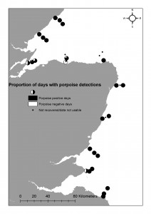 Proportion of days with Porpoise detections 2013