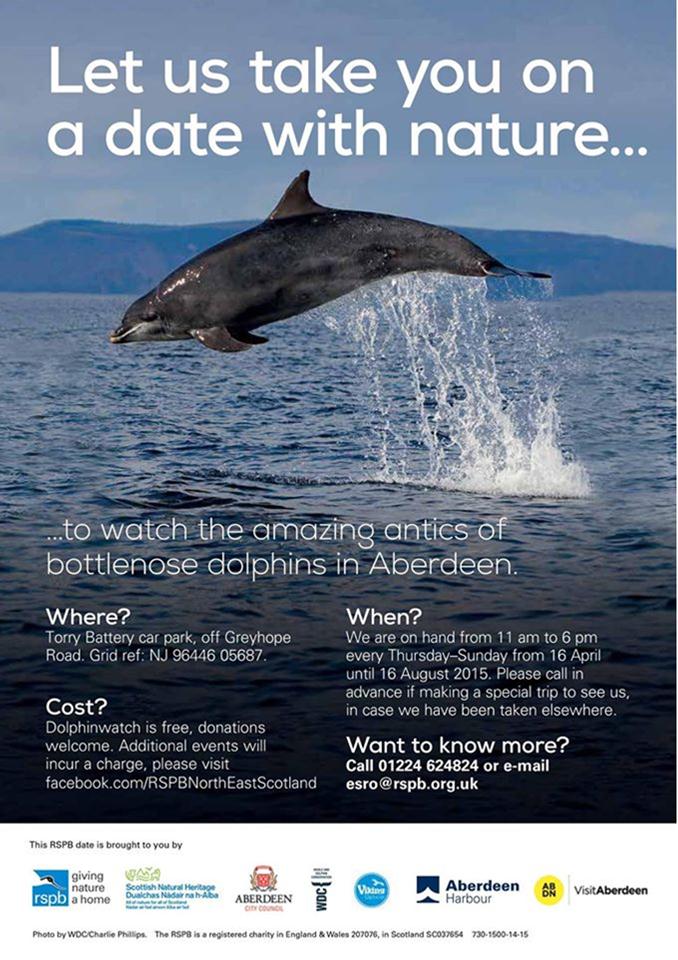 Marine RSPB Scotland s Dolphinwatch is back Marine