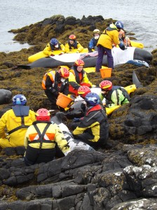 Volunteers keeping the whales wet until high tide
