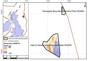  East Gannet and Montrose Fields (EGM) and Norwegian Boundary Sediment Plain (NSP)