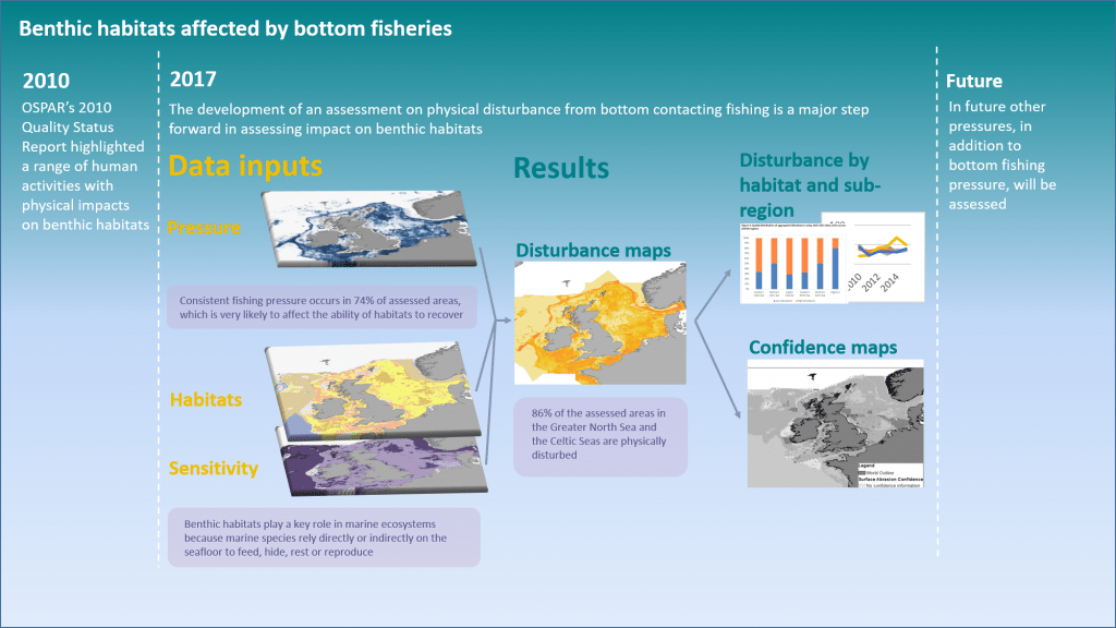 Benthic Habitats