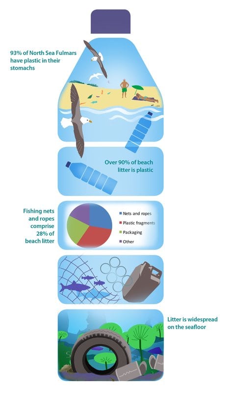 Marine litter graphic