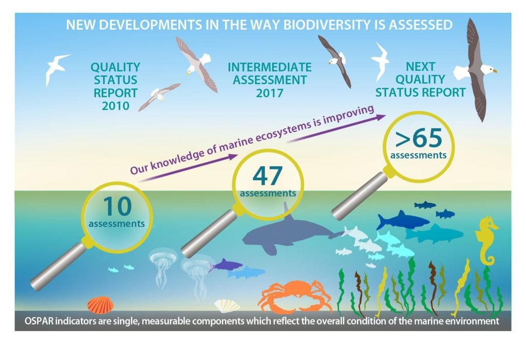 Biodiversity graphic