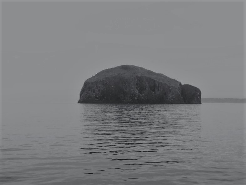Bass Rock from survey 0119S