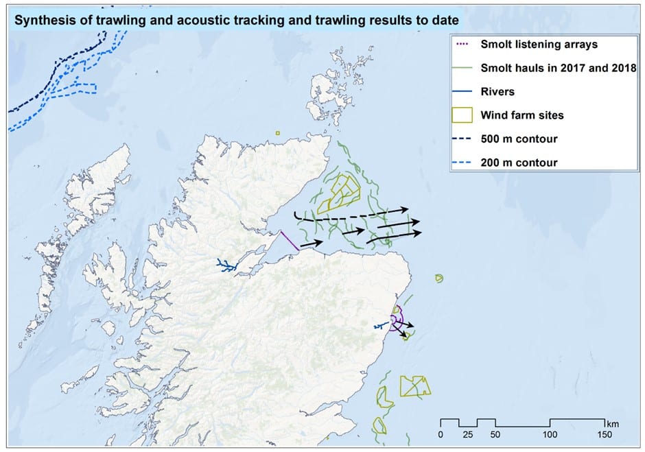1419H Figure 1 Previous survey hauls in relation to wind farm sites of interest and some of the likely smolt migration routes