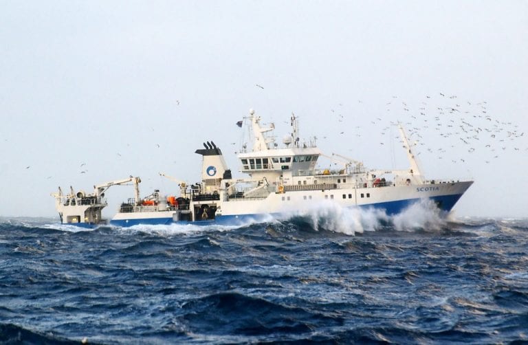 Marine Scotland Getting to know the Herring and Sprat - Marine Scotland