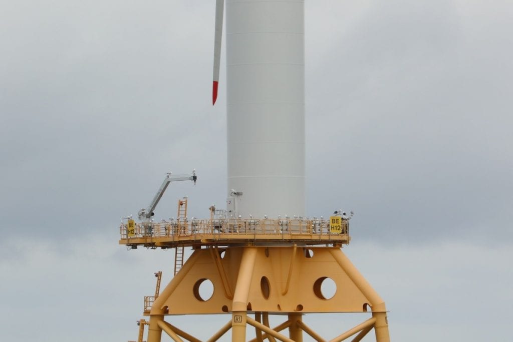 Figure 2: Seabirds roosting on one of the BOWL wind turbines during the 0919A survey. Photo credit: University of Aberdeen, 2019.