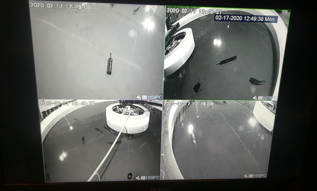 Fish Trials - four views on CCTV