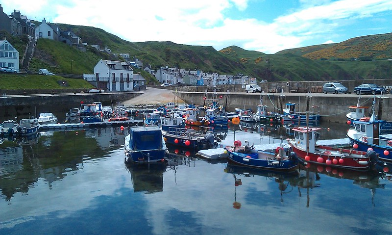 60 crab boats at Gamrie (Gardenstown)