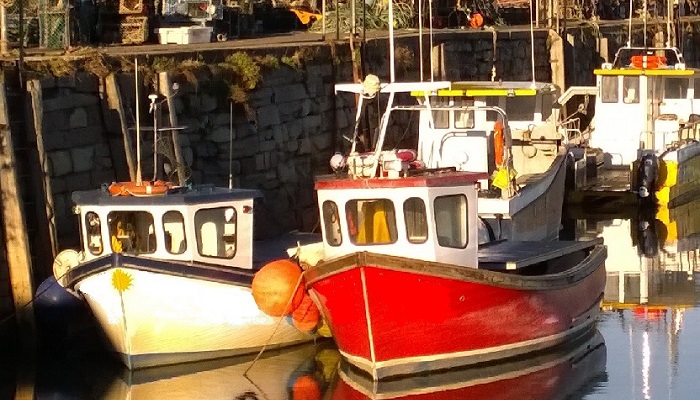 St Andrews vessels during SIFIDS project