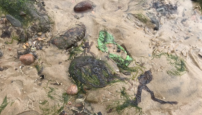 plastic found on beach during beach clean. Crown Copyright