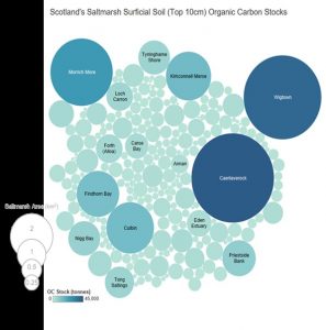 Scotland's saltmarsh surficial social (10cm) organic carbon blocks. Bubbles indicating the areas where saltmarsh can be found