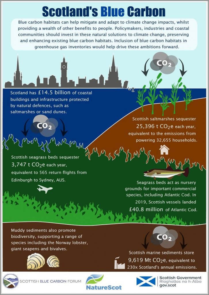 Scotland's Blue Carbon graphic