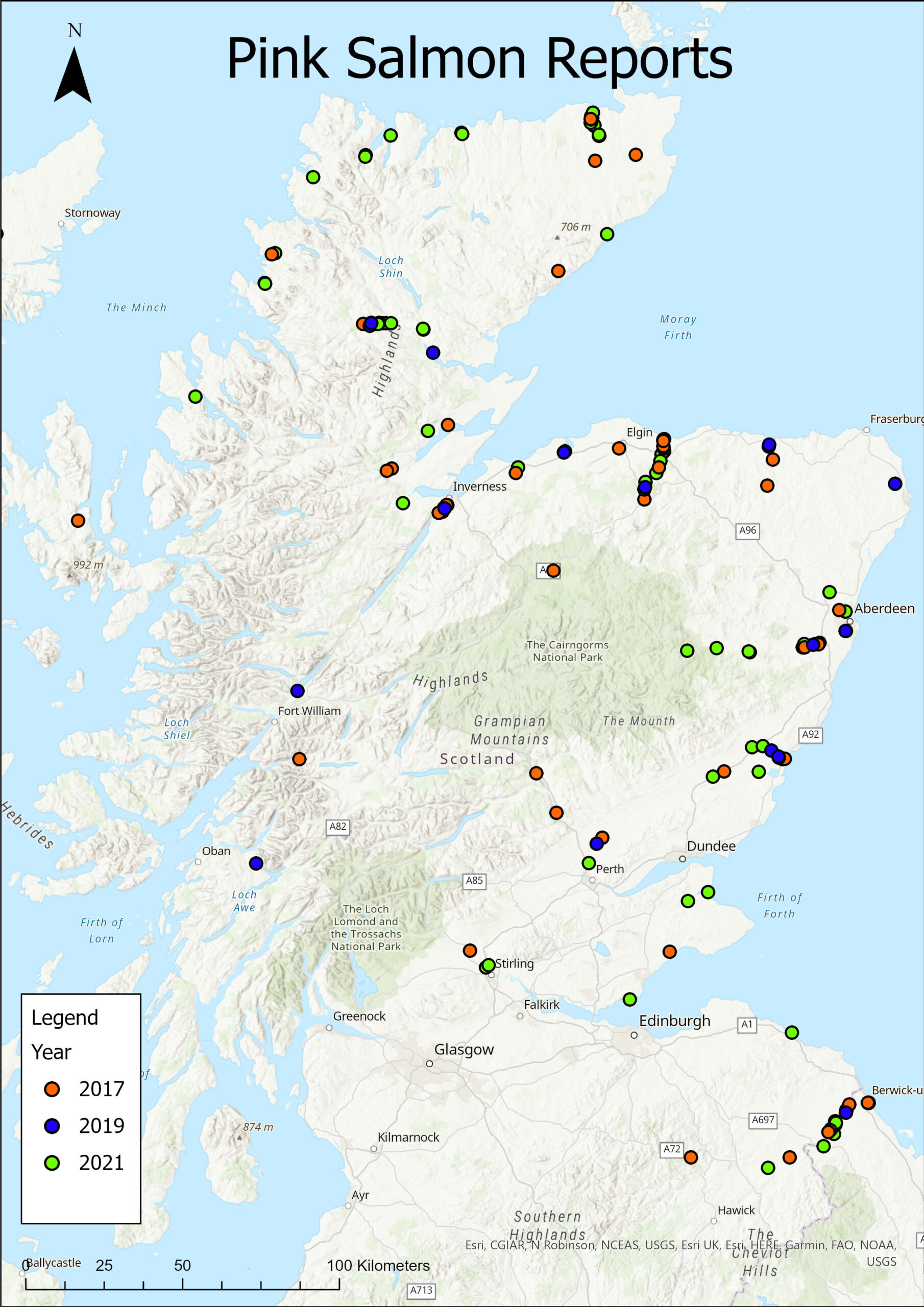 Map showing where pink salmon have been reported. Supplied by Fisheries Management Scotland (FMS)
