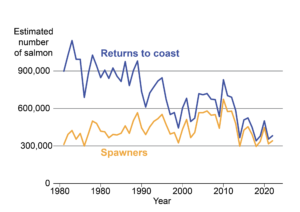 graph showing the decline in the number of salmon returning to the Scottish coast from roughly 1,000,000 in the early 1970s to around 400,000 in recent years. Over the same period the number of spawners increased from around 380,000 in the early 1970s to a high point of 670, 000 in 2010 before declining to around 350,000 in recent years.