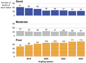 Graph showing the decline in the number of stocks in good conservation status from 61 for the 2017 angling season to 34 for 2024. The number in moderate conservation status has remained relatively constant at approximately 30. The number of stocks in poor conservation status has increased from 75 for 2017 to 112 for 2024