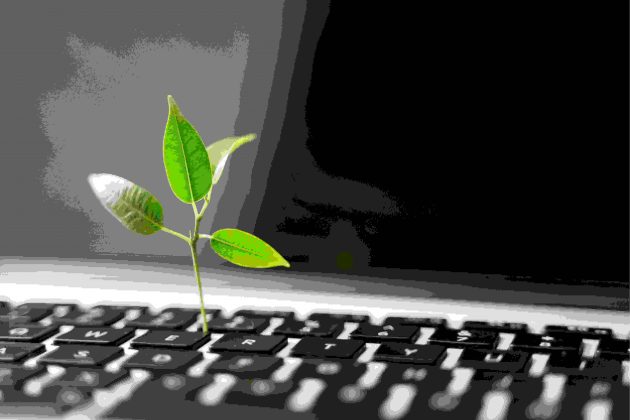 image of a plant shoot growing from a laptop