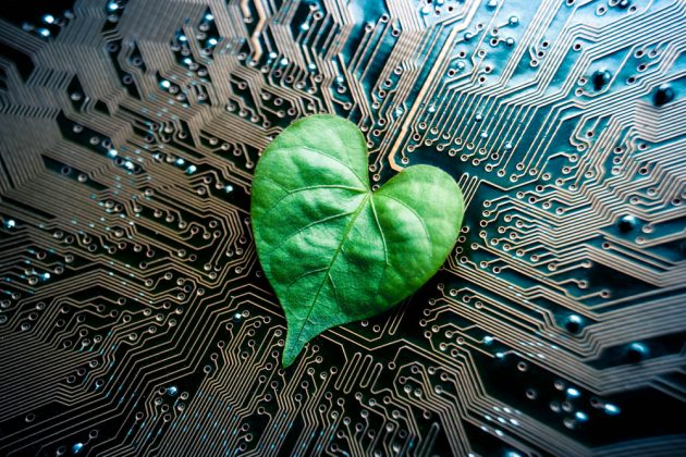 Heart-shaped leaf and computer circuit board