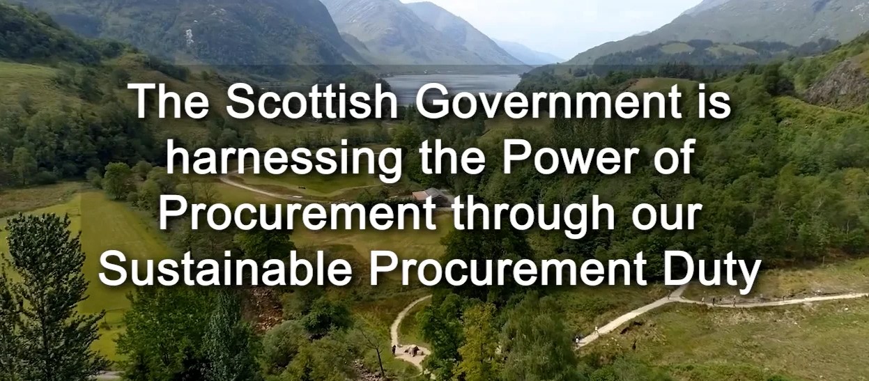 Public Procurement and Property Update from the 'World Procurement