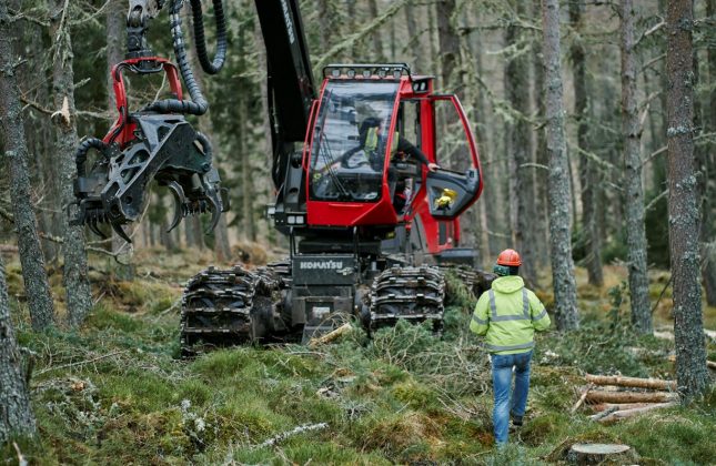 In middle of larch forest, forestry worker seated in red harvester machine speaks to fellow worker in yellow high visibility jacket and hard hat.