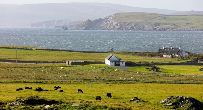 A view across farmland to Shetland. Green fields with black cows grazing, a small white house and blue sea in the distance.