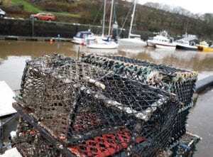Lobster pots at Eyemouth Harbour