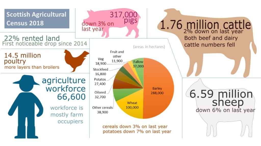 statistics-poor-weather-impacted-scottish-agriculture-statistics